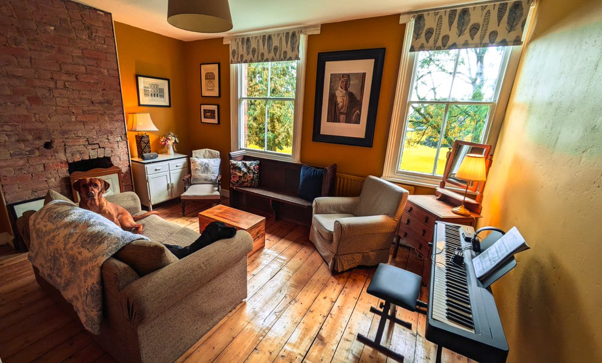 Hayley Merchant tweet media