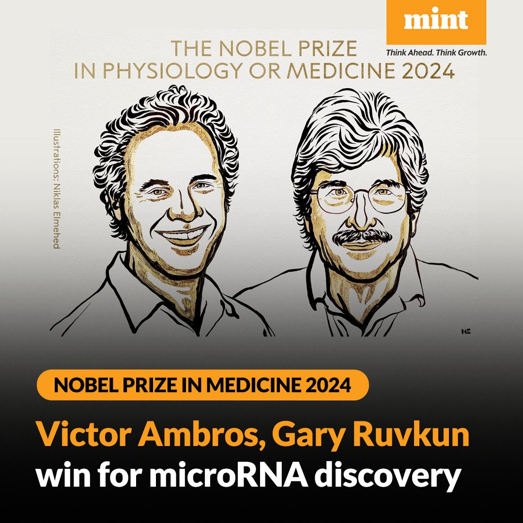 #BreakingNews | The #NobelPrize in medicine was awarded to Americans #VictorAmbros and #GaryRuvkun for their discovery of #microRNA, a fundamental principle governing how gene activity is regulated.

For more details: read.ht/Scj5