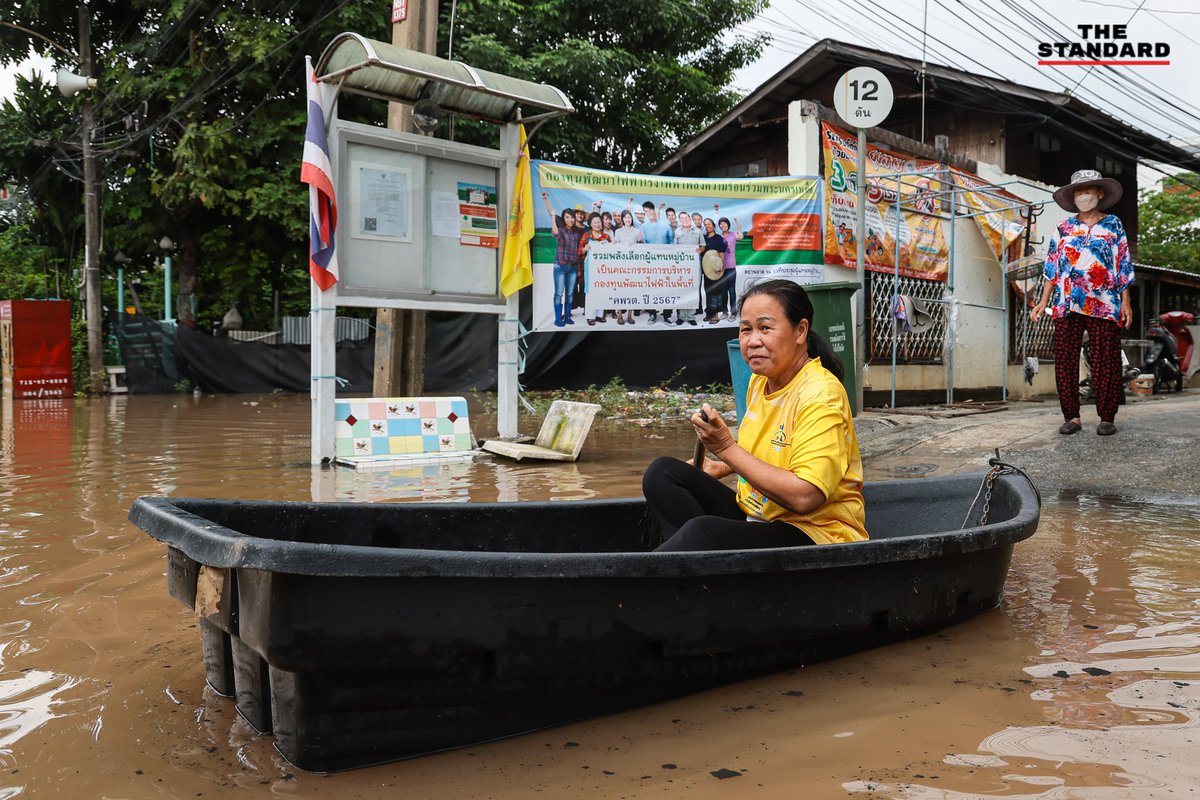 THE STANDARD tweet media