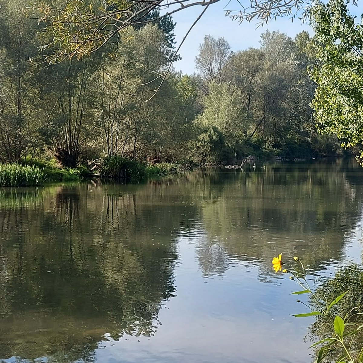 CERM, Centre d'Estudis dels Rius Mediterranis tweet media