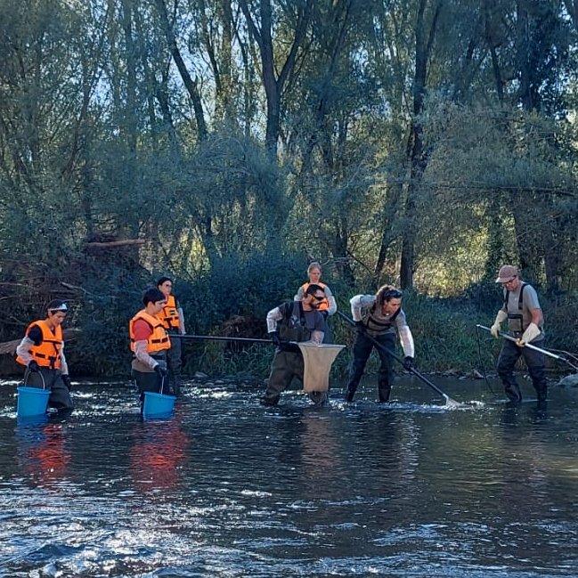 CERM, Centre d'Estudis dels Rius Mediterranis tweet media