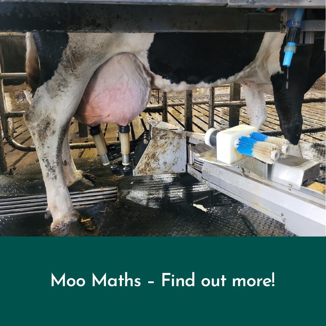 Come along 22nd October at 4pm for 45 minutes to find out more about how you can get data from your very own class dairy cow and use this in class to teacher STEM! buff.ly/3TPR4z1

@‌STEMnation <a href="/raisescotland/">RAiSE</a>