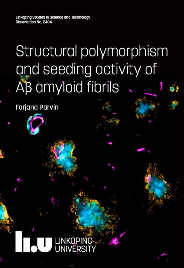 Ph.D. defence this week: Farjana Parvin, Structural polymorphism and seeding activity of Aβ amyloid fibrils Friday 11 October, 09:15 in Nobel, B-building, Campus Valla, Linköping  urn.kb.se/resolve?urn=ur… #LiU