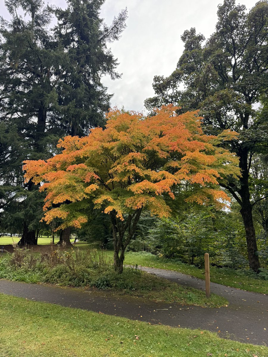 Ashley Roger tweet media