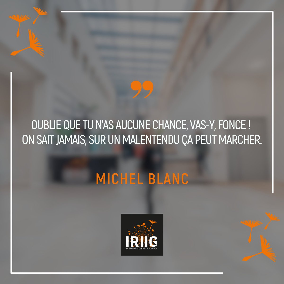 IRIIG - School for Business & Innovation tweet media