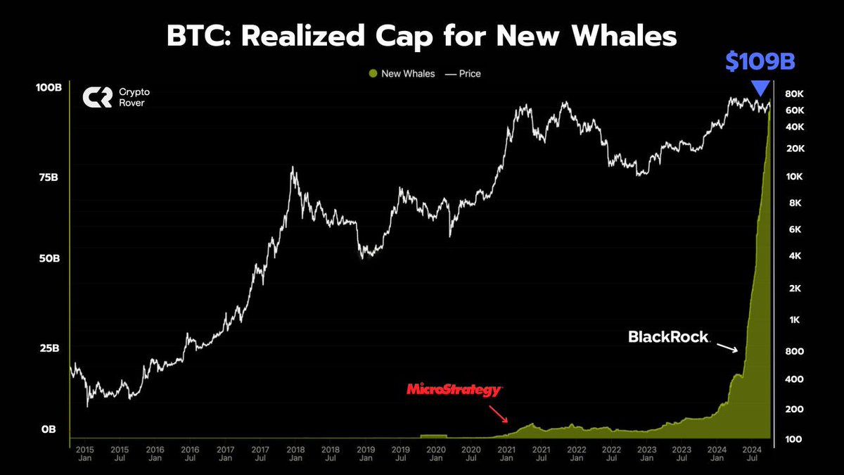 cryptorover's tweet photo. #Bitcoin whales are buying like never seen before... https://t.co/31Z4VZPEeO