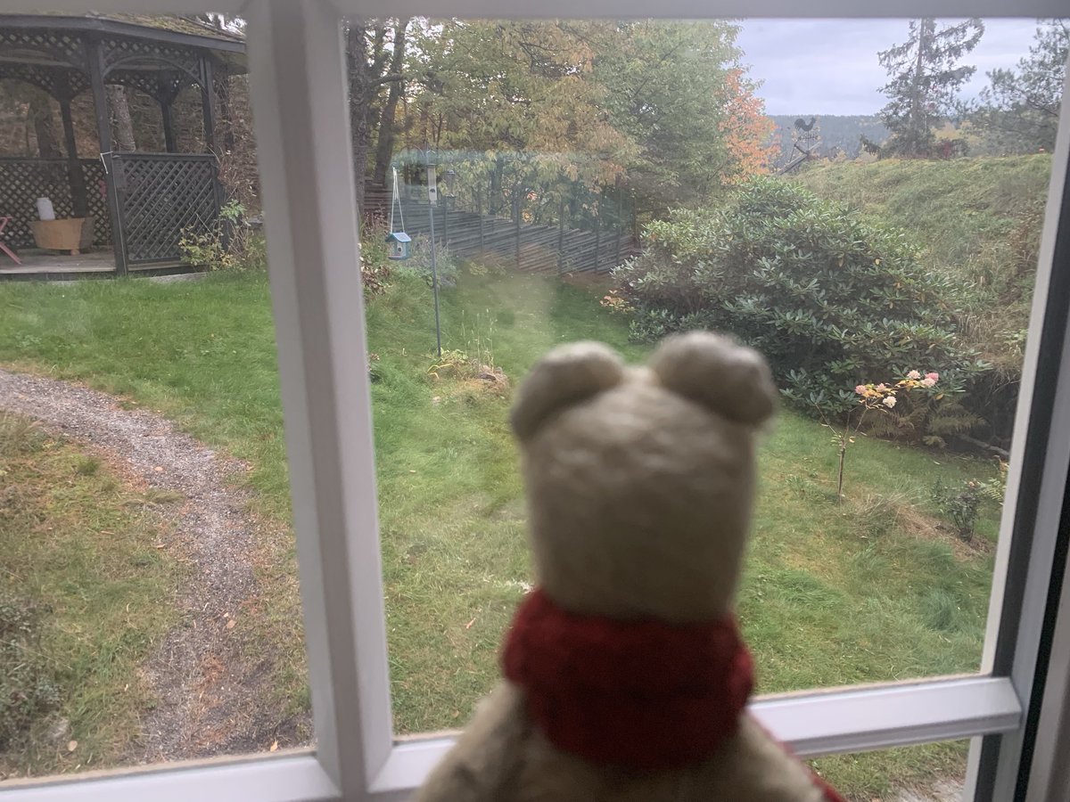 Good morning friends