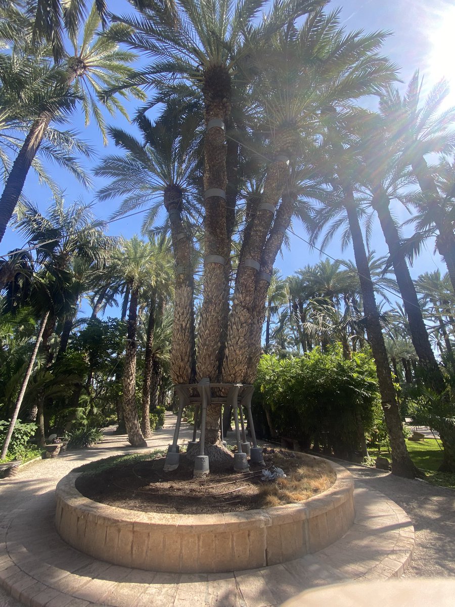 Jean Rodesch 🇪🇺 tweet media