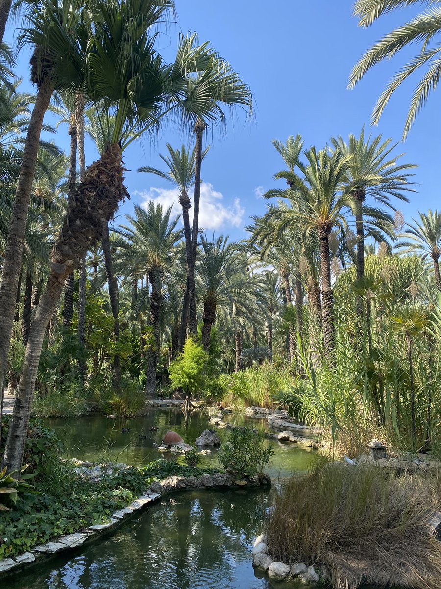 Jean Rodesch 🇪🇺 tweet media