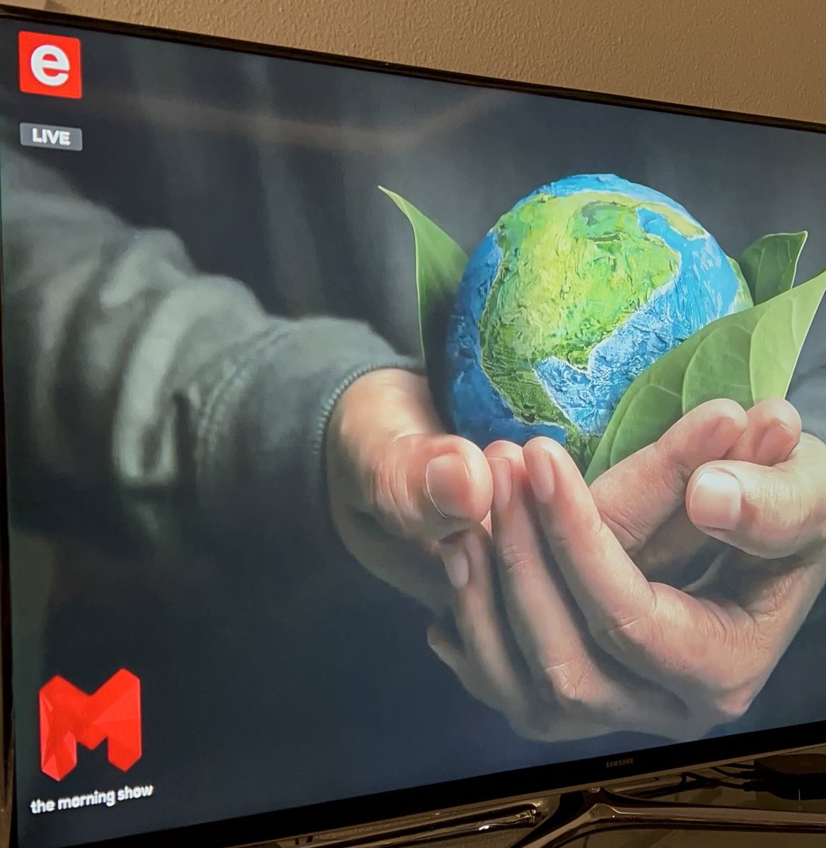 Miss Earth South Africa tweet media