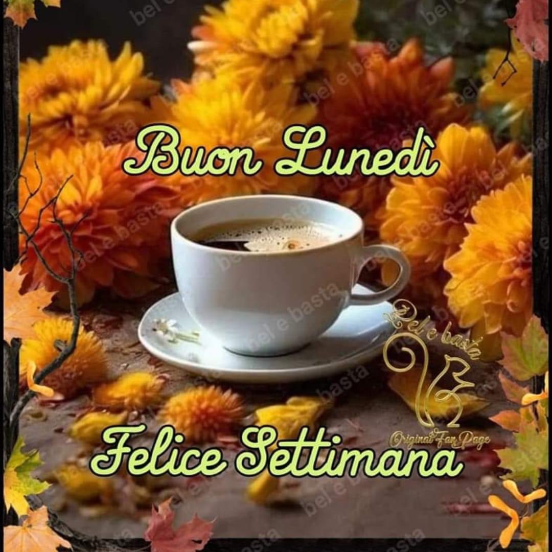 RITABIANCHi56 tweet media