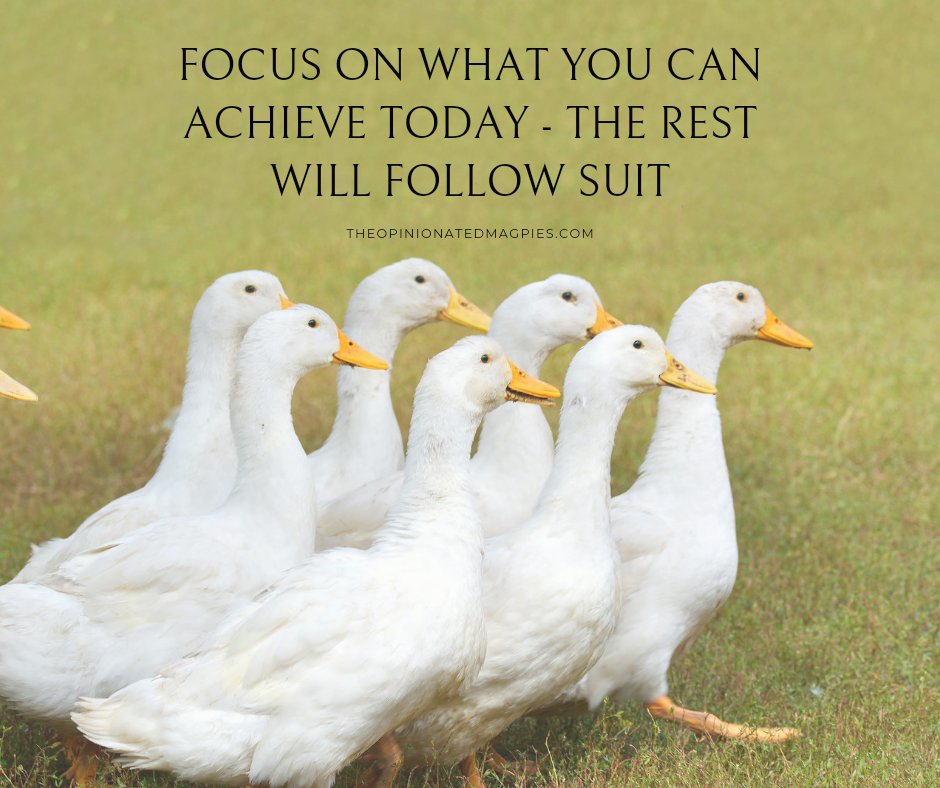Focus on what you can achieve today, and the rest will follow suit. What’s one thing you’re setting out to accomplish? Let’s cheer each other on! #FocusAndAchieve #OneStepAtATime #StayMotivated
#mondaymotivation 
#mondaymood