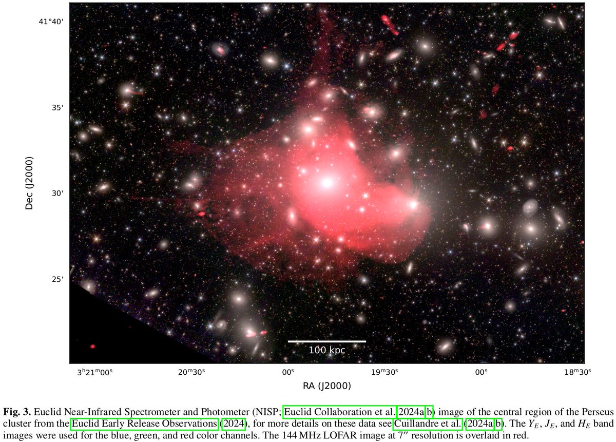 Andrea Botteon tweet media