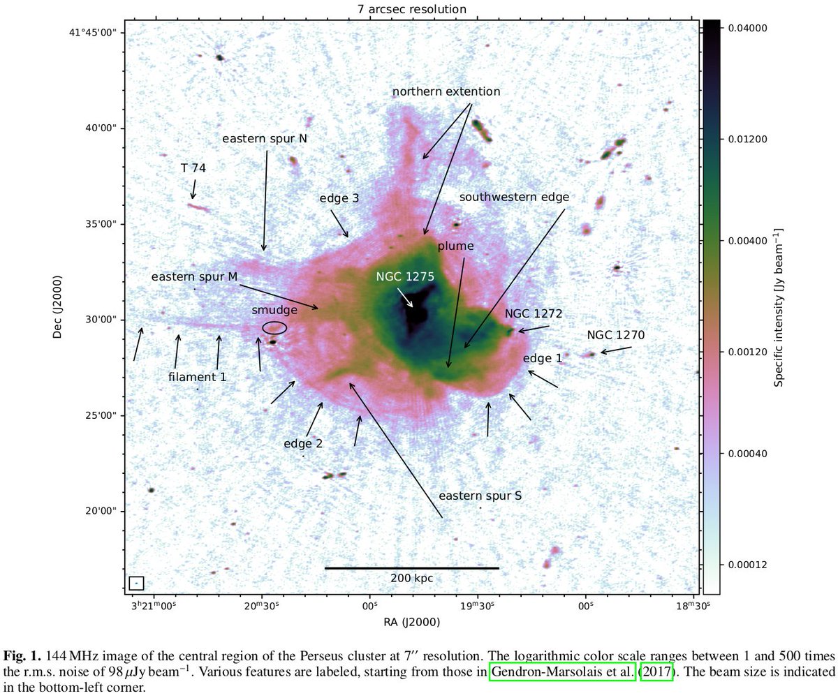 Andrea Botteon tweet media
