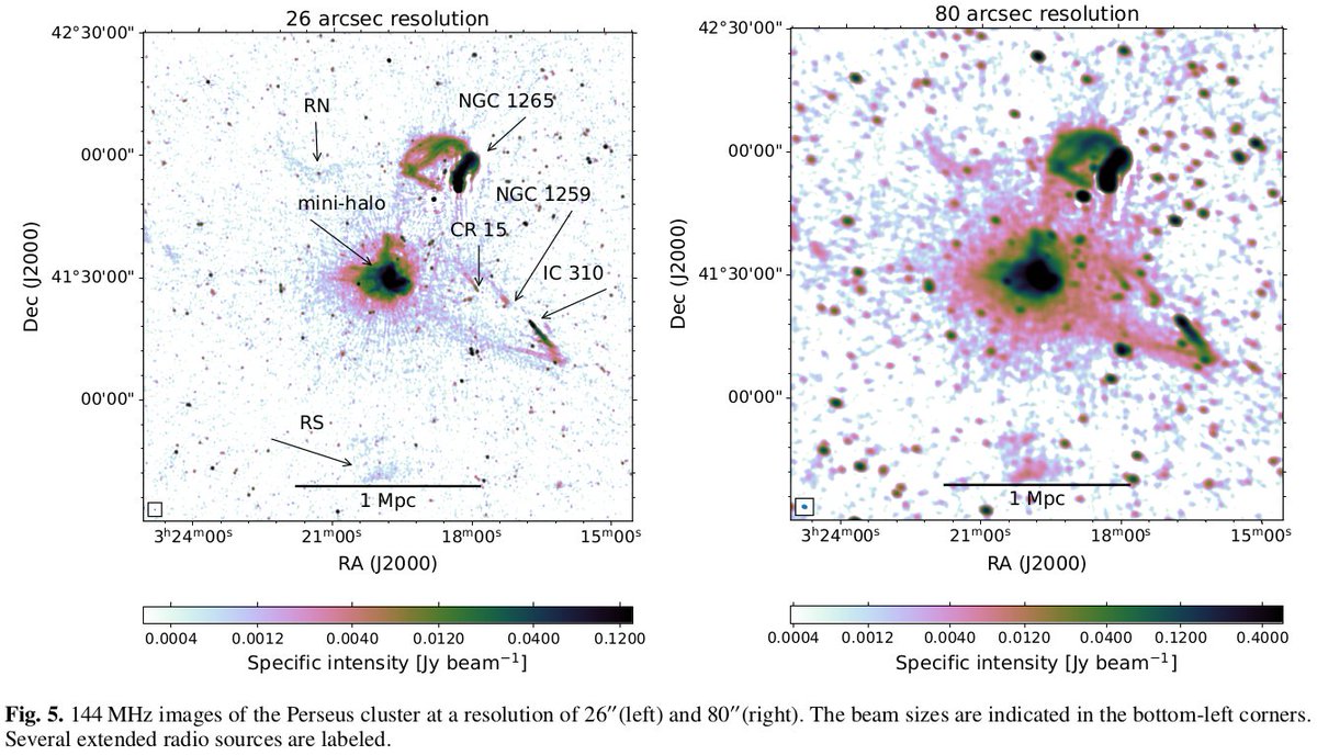 Andrea Botteon (@and_botteon) on Twitter photo The Perseus cluster as you have never seen it, by vanWeeren+
A plethora of new features are detected in the <a href="/LOFAR/">Low Frequency Array</a> 150 MHz image, including numerous substructures in the mini halo and extended diffuse emission on a scale of ~1 Mpc permeating the cluster
arxiv.org/abs/2410.02863 The Perseus cluster as you have never seen it, by vanWeeren+
A plethora of new features are detected in the <a href="/LOFAR/">Low Frequency Array</a> 150 MHz image, including numerous substructures in the mini halo and extended diffuse emission on a scale of ~1 Mpc permeating the cluster
arxiv.org/abs/2410.02863