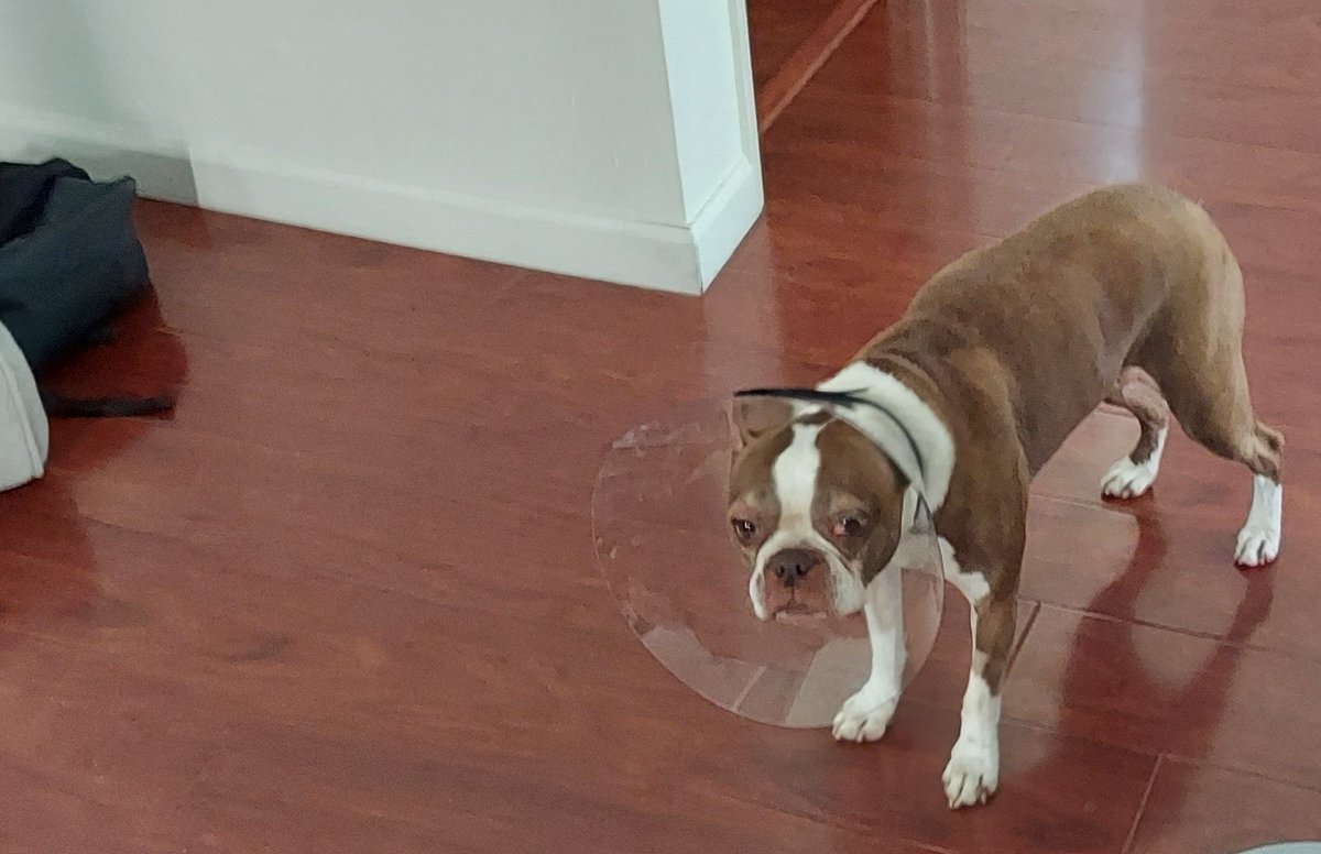 Todd in the Shadows tweet media