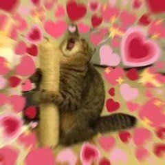 KatherineFp2's tweet photo. I PINCHES LOVE HIM AAAAAAAAAAAAAA https://t.co/GblBgzQxcd