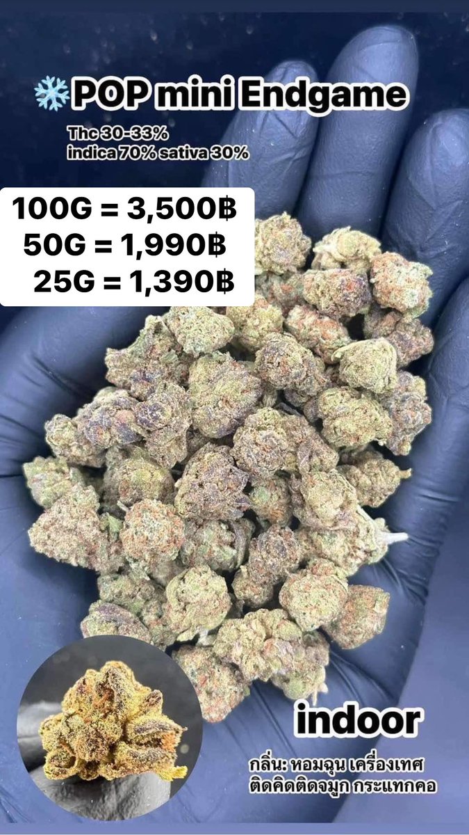 CThiland965's tweet photo. สั่งซื้อคลิกลิงค์นี้👇🛒🚬
https://t.co/k0kHf106Ta

เช็คเคดิตกลุ่ม💚❤️🚀
รูปภาพเพิ่มเติมทักแชทไลน์ร้านมา🖖💚👌

📌จีละหลักสิบ💐🍁 ใบทริม
#กรีนแคร็ก #ห่างกระรอก

#พันลำ #joint #WRA #กัญชาออแกนิค #CANNABIS #กัญชาฝั่งธน #จรัญฯ #GreenCack #เชียงราย #เชียงใหม่ #ลำปาง #กรุงเทพ #ชุมพร https://t.co/aAyYVj6Z4O