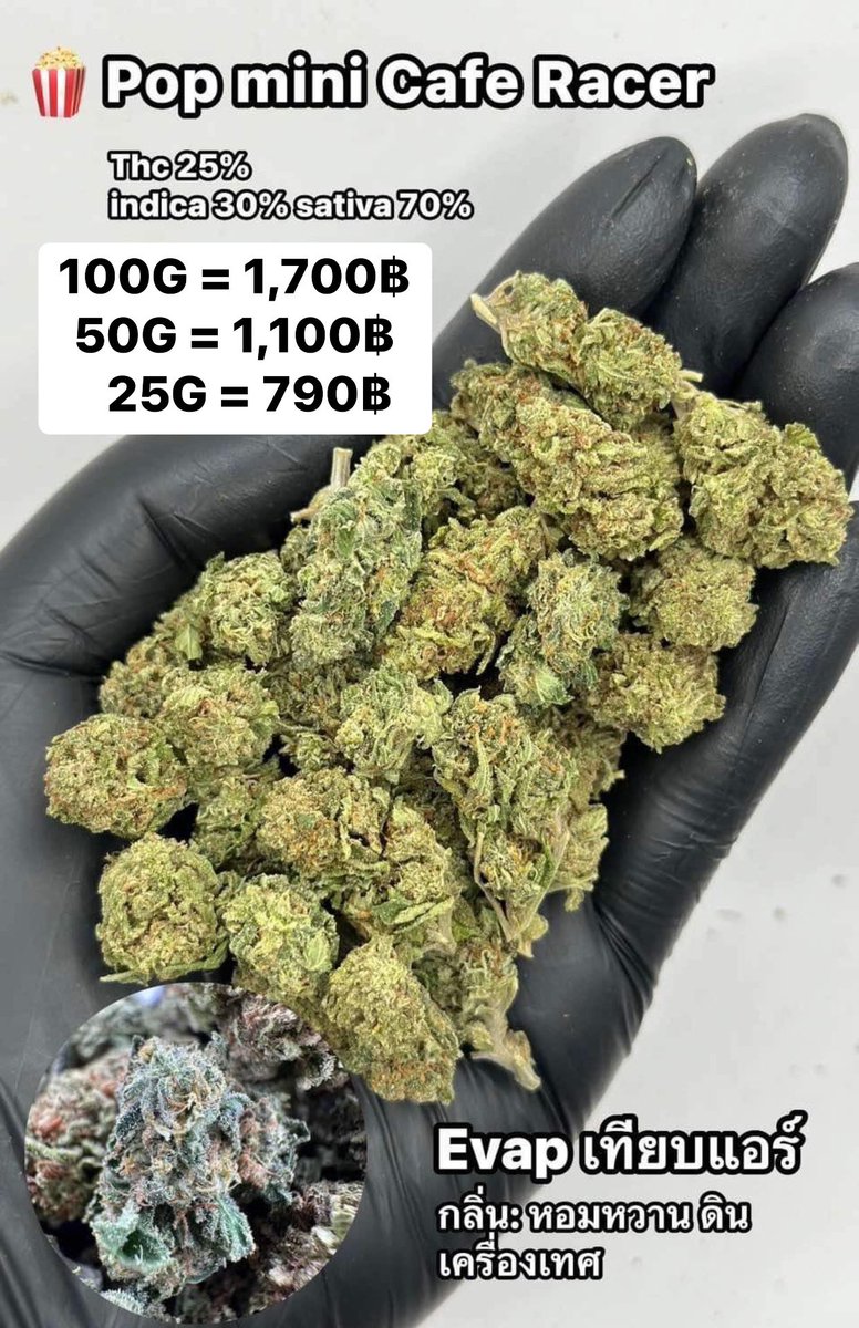CThiland965's tweet photo. สั่งซื้อคลิกลิงค์นี้👇🛒🚬
https://t.co/k0kHf106Ta

เช็คเคดิตกลุ่ม💚❤️🚀
รูปภาพเพิ่มเติมทักแชทไลน์ร้านมา🖖💚👌

📌จีละหลักสิบ💐🍁 ใบทริม
#กรีนแคร็ก #ห่างกระรอก

#พันลำ #joint #WRA #กัญชาออแกนิค #CANNABIS #กัญชาฝั่งธน #จรัญฯ #GreenCack #เชียงราย #เชียงใหม่ #ลำปาง #กรุงเทพ #ชุมพร https://t.co/Zhkyy9UjJI