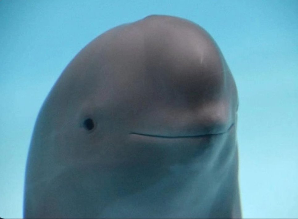 Reading reviewer comments and trying not to take them personally