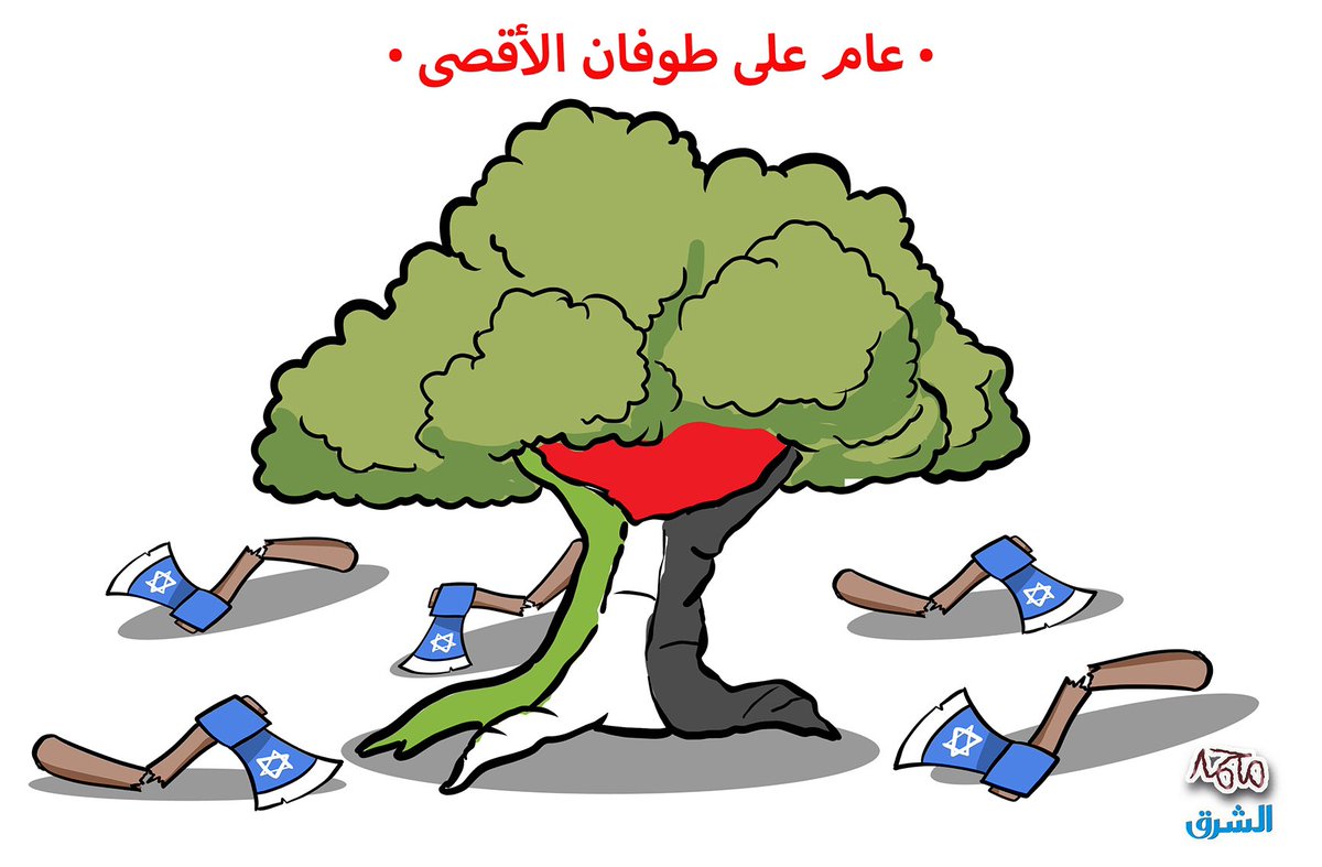 مُحَمّد عَبْداللّطيف tweet media