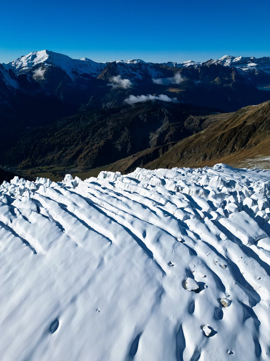 Love those Autumn contrasts