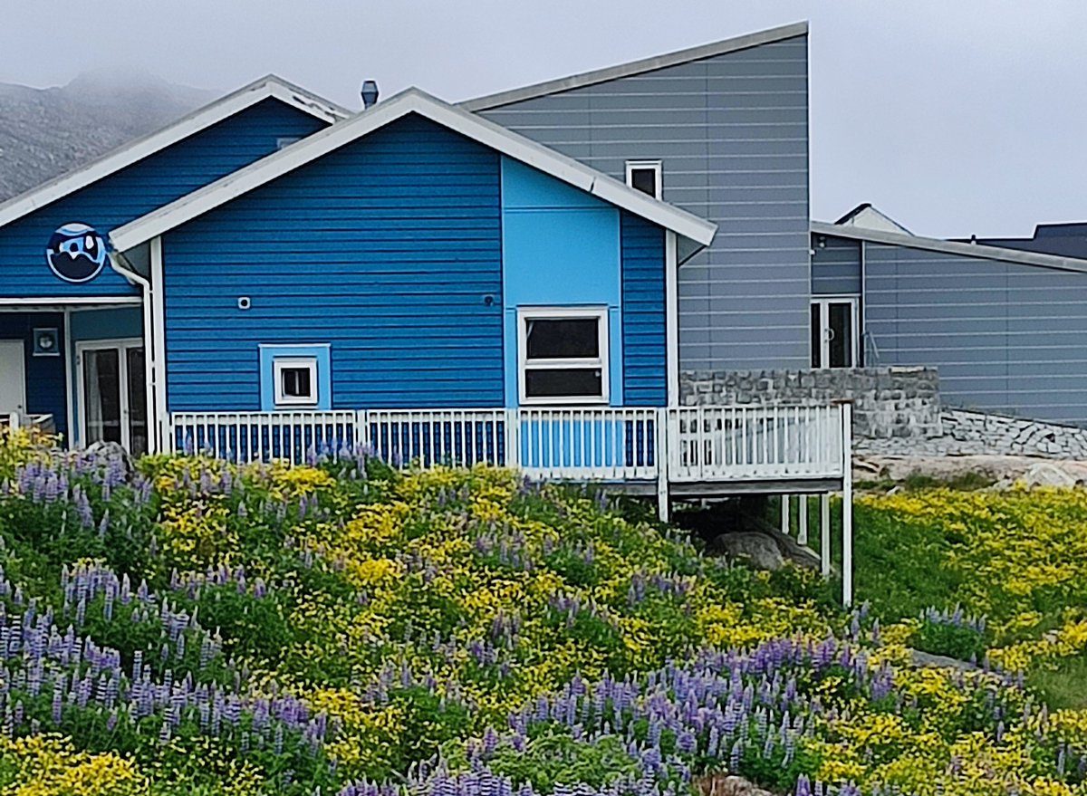 Jan Joost tweet media