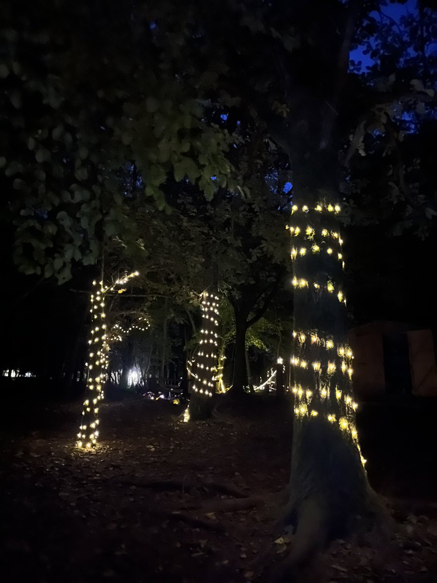 PipersForestSch's tweet image. The forest looked stunning for our open evening, filled with fairy magic. #pipersgrounds #pipersoutdoors #pipersprep #piperspreprep 🔥 🧚‍♂️ 🍁