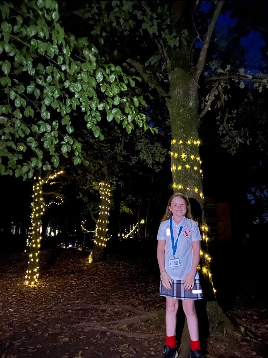 PipersForestSch's tweet image. The forest looked stunning for our open evening, filled with fairy magic. #pipersgrounds #pipersoutdoors #pipersprep #piperspreprep 🔥 🧚‍♂️ 🍁