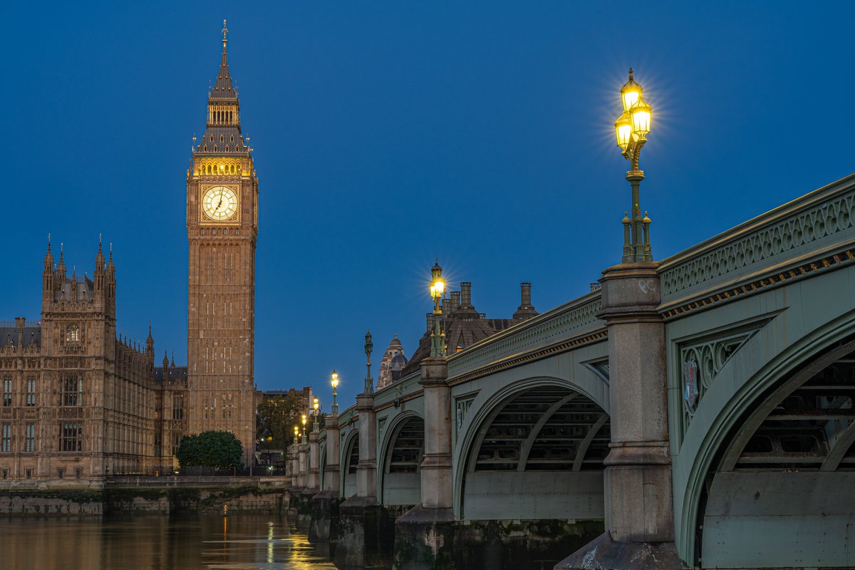 Scott King tweet media