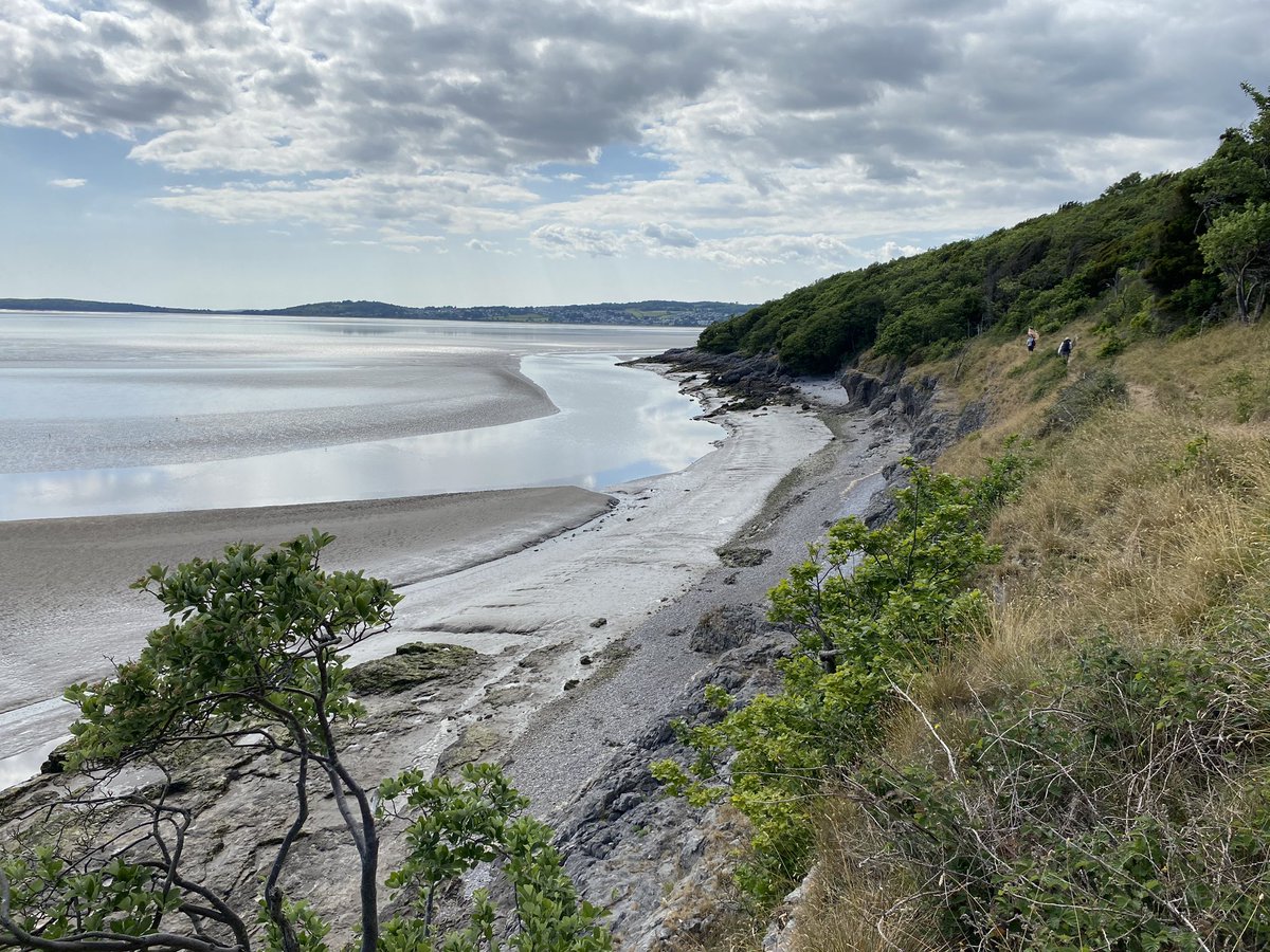 morecambe_bay's tweet photo. ๐ข Itโs @MaritimeUK Week so here are three #podcasts about #Maritime matters ๐ง
โ๏ธ#Heysham pilot Andy Bradbury ๐ https://t.co/LcAf5fIvE7
๐๏ธ@DockMuseum #Barrow ๐ https://t.co/LcAf5fIvE7
๐ฃ#Morecambe fisherman Charlie Overett๐ https://t.co/LcAf5fIvE7
#MaritimeUKWeek #MUKWeek https://t.co/cV3zsHNOKz