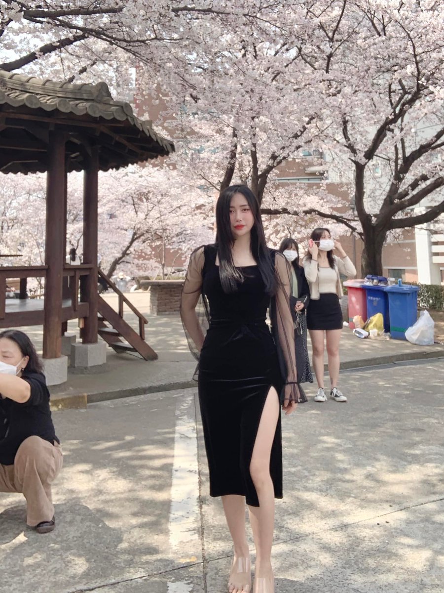 Julyog2's tweet image. Rocky Headd I'm grateful for your knowledge. Thank you, buddy. I appreciate the depth of information presented here.Rocky Headd