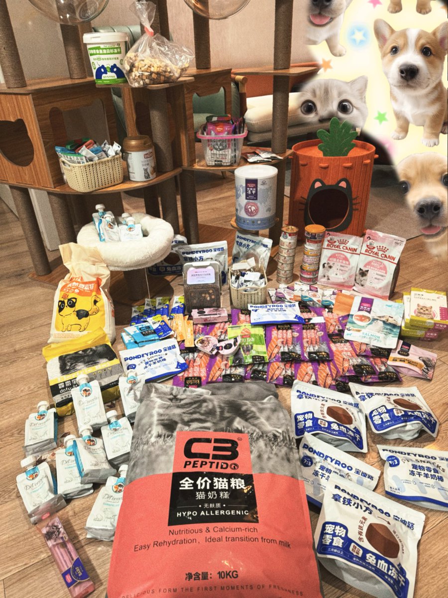 EricXi19's tweet photo. 豪华六层猫架，舒适萝卜小屋，优选豆腐猫砂，丰富的猫粮，三文鱼条和羊奶冻干，贴心管家24小时VIP服务😍
专业！😎 https://t.co/W8ilVAShb4