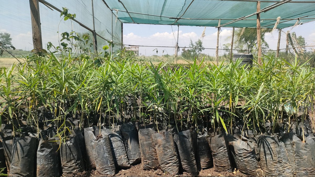 ISIOLO CONSERVATIONISTS TRUST (ICT011) tweet media