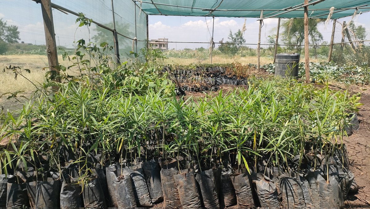 ISIOLO CONSERVATIONISTS TRUST (ICT011) tweet media