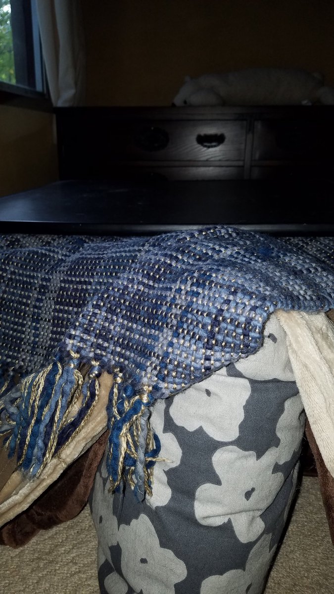 カメムシの越冬場所探しが始まっているようなので秋到来
カメムシさんのお導きにより老猫さん用のこたつ設置
今夜からはヒーターがつかないこたつでおやすみなさい