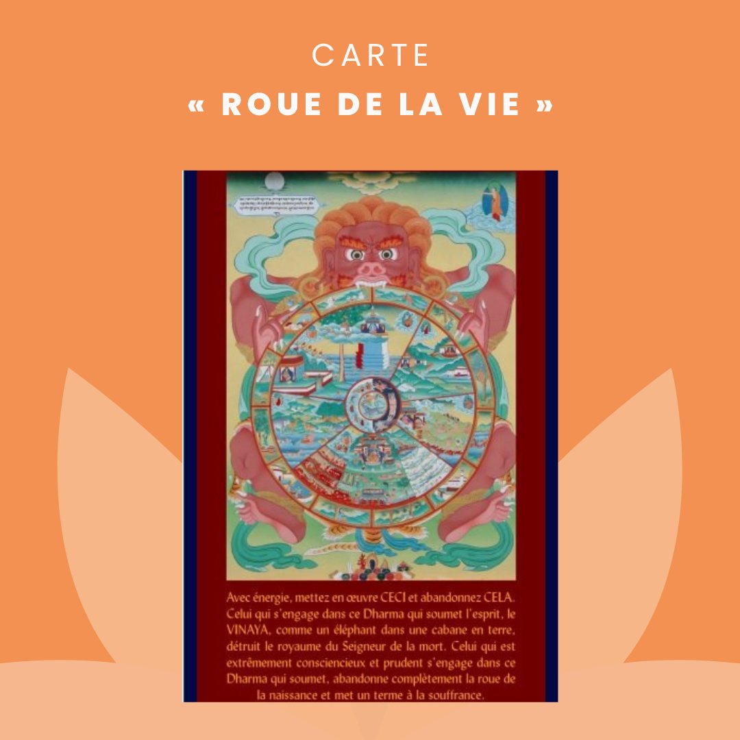 TraductionFPMT's tweet photo. Celui qui est extrêmement consciencieux et prudent s’engage dans ce Dharma qui soumet, abandonne complètement la roue de la naissance et met un terme à la souffrance.
https://t.co/cR4XehXFKg

#cartes #dharma #bouddhisme #bouddha #lamazoparinpoche #mahayana #editionsmahayana https://t.co/po2tHybssh