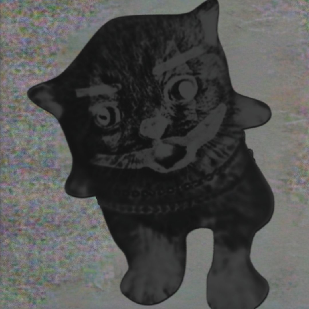 tard moving in silence 😼💸