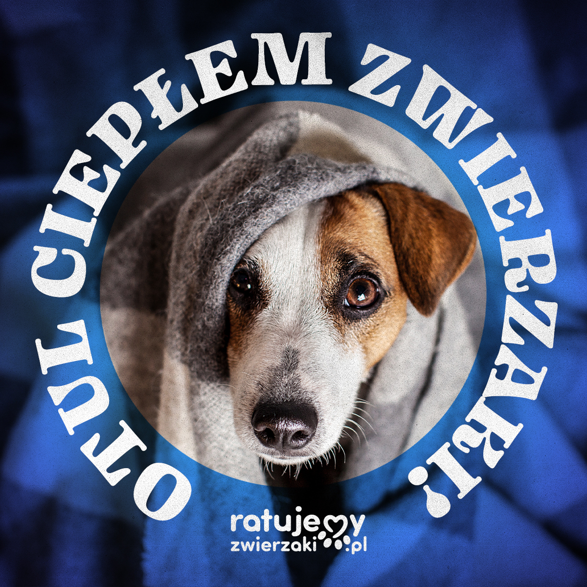 Bezdomne zwierzęta są w dramatycznej sytuacji! 😔 Czas i fundusze kurczą się, a każda chwila to dla nich walka o przetrwanie 💔 Razem możemy dać im ciepło i nadzieję na lepsze jutro – pomóżmy tym, którzy nie mają głosu❗️😥

👉 ratujemyzwierzaki.pl/otul-cieplem-z…