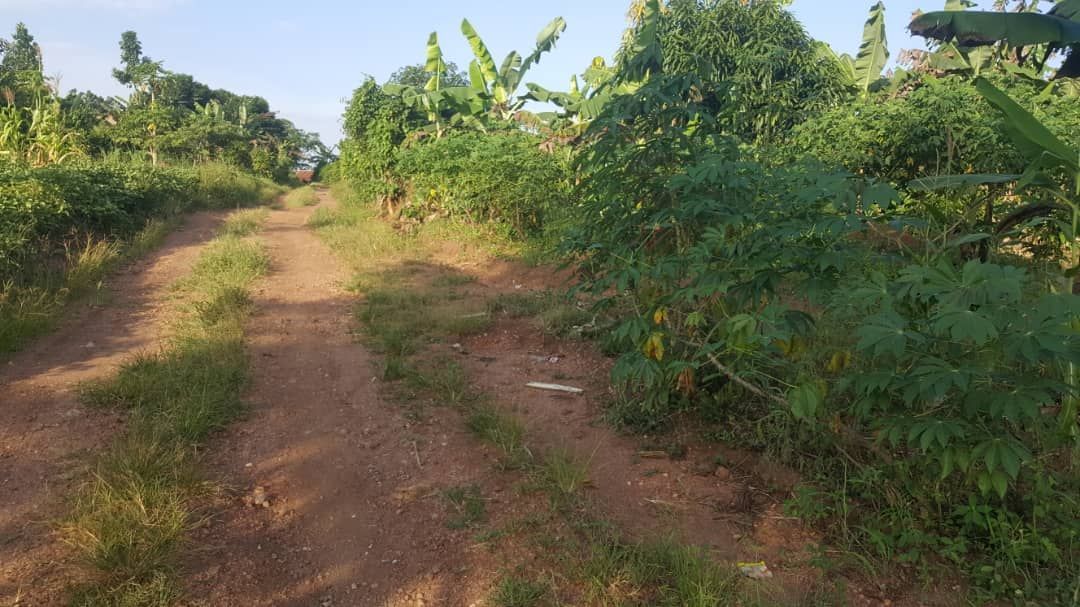 RealEstateUG1's tweet photo. QUICK SALE:
2acres and of land for sale in luweero kamila. 
Call or WhatsApp 0742914650 https://t.co/x1XLFhb2gU