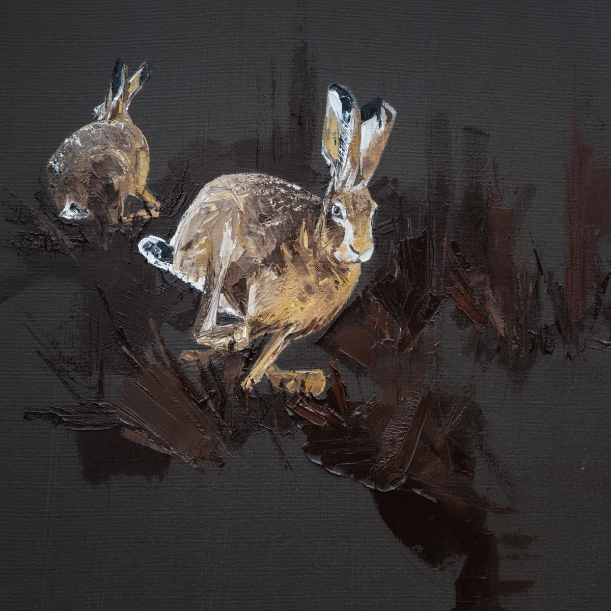 When Hare had the chance she would glide through fields, moving so swiftly that it felt as though she were floating.
In her dreams she flew, so she knew that feeling.
She loved that feeling.
The feeling of freedom she thought.
Why be grounded when you can dream and be free?