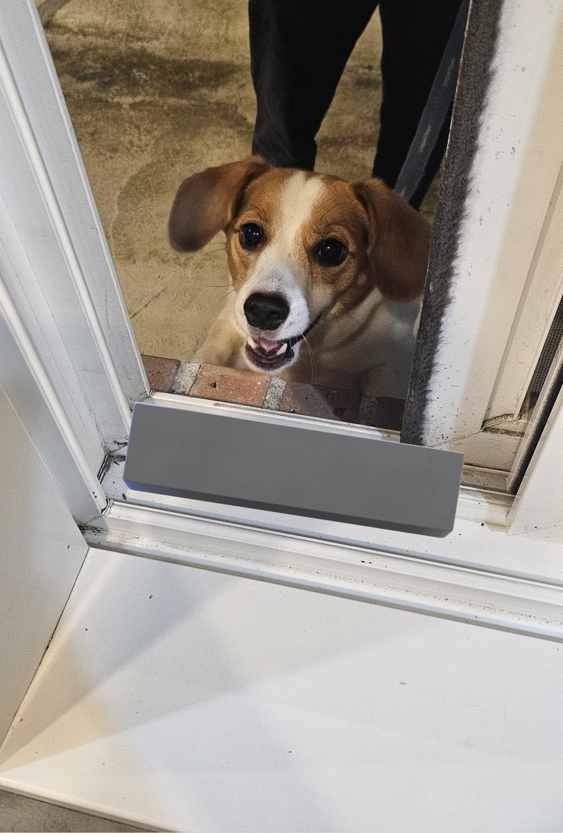 산책 하다 외식하러 식당에 갔는데 자신은 왜 들어가지 못하는지 납득못하시는 분
