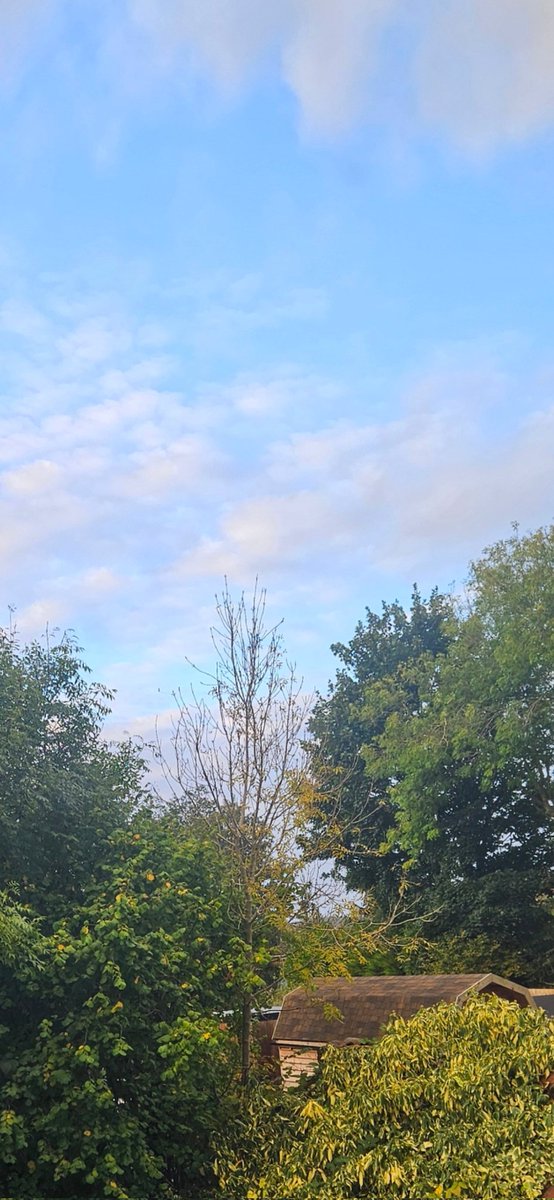 Hello from North Yorkshire. Cosy. (May need a click.) #Sky #GardenCalm #Trees #Yorkshire