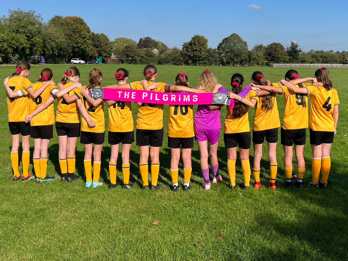 Lincolnshire Women & Girls' Football League tweet media