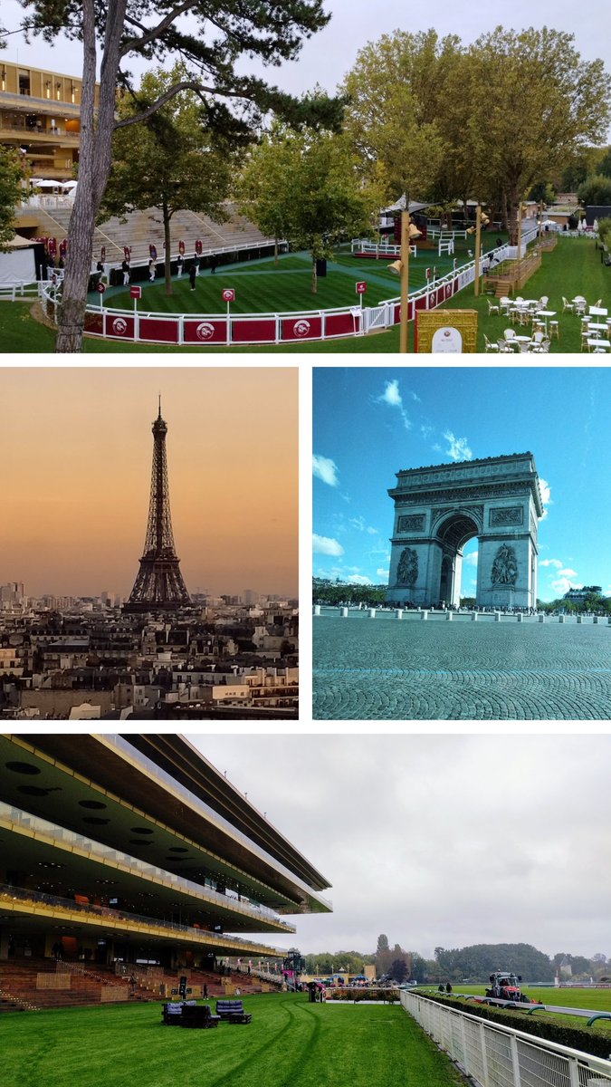 Dan Fordyce tweet media