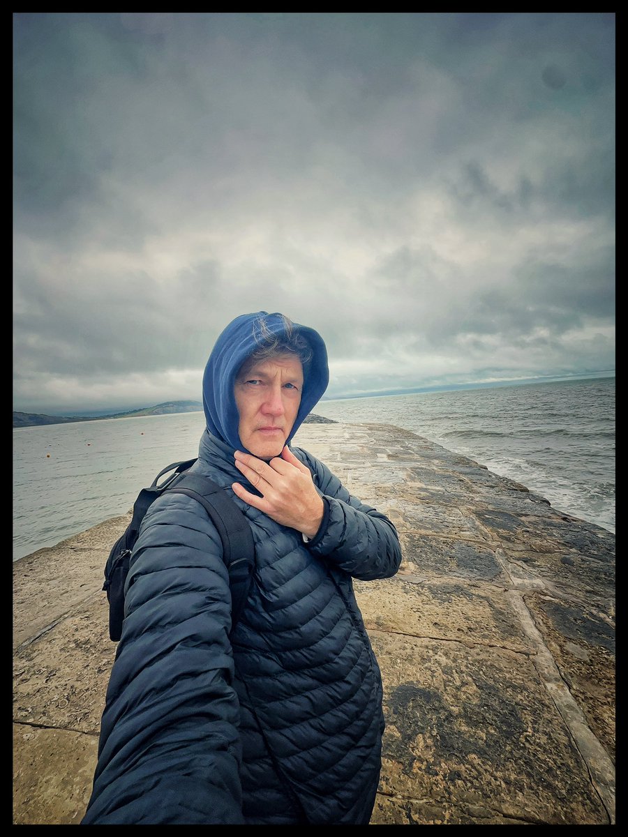 David Morrissey tweet media