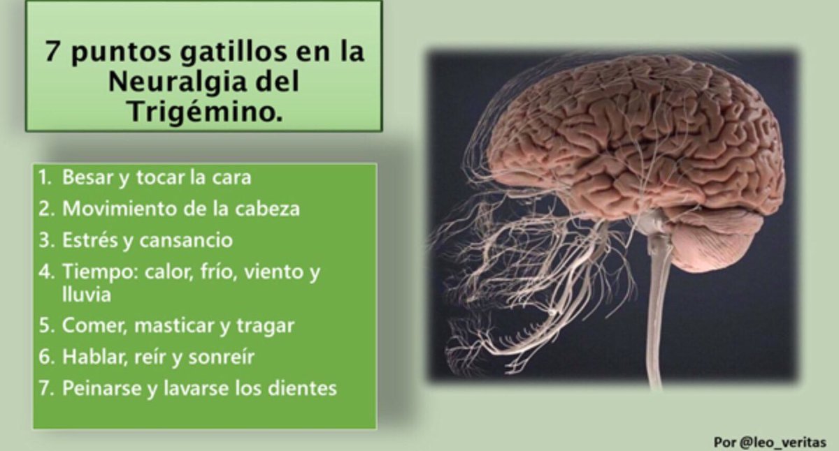 NoInvisibles's tweet image. Es #DiaInternacionalNeuralgiaTrigémino #TrigeminalNeuralgiaAwarenessDay
La #NeuralgiadelTrigémino afecta al Sist. Nervioso Periférico, es de las #EERR por su baja prevalencia y también invisible🤯
@leo_veritas habla de #BesosQueDuelen
En @ElHuffPost👇

huffingtonpost.es/entry/los-dias…