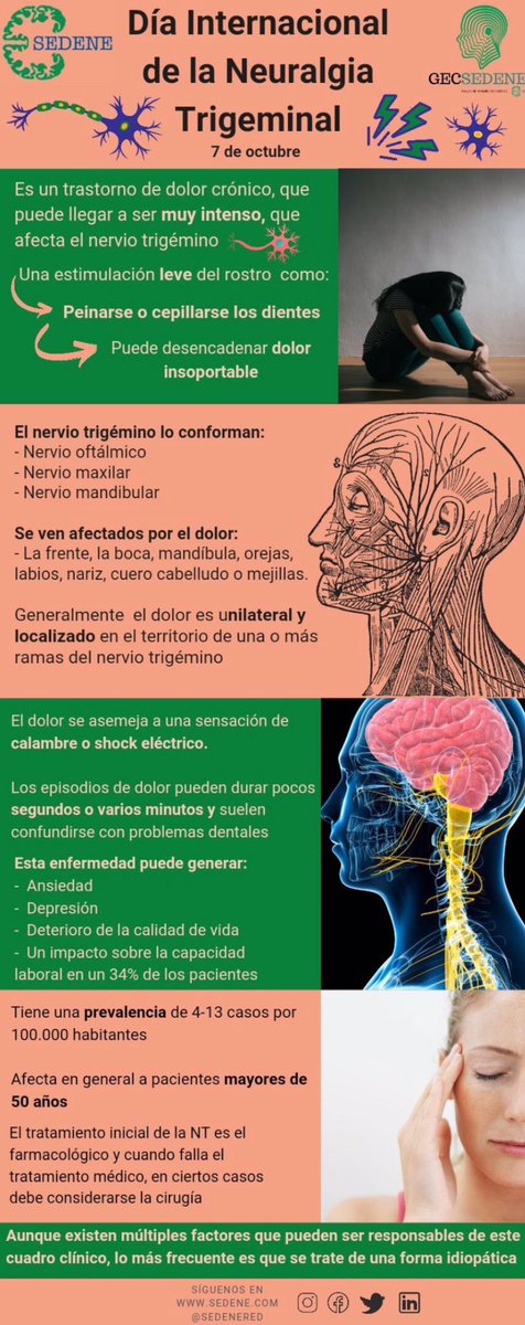 NoInvisibles's tweet image. Es #DiaInternacionalNeuralgiaTrigémino #TrigeminalNeuralgiaAwarenessDay
La #NeuralgiadelTrigémino afecta al Sist. Nervioso Periférico, es de las #EERR por su baja prevalencia y también invisible🤯
@leo_veritas habla de #BesosQueDuelen
En @ElHuffPost👇

huffingtonpost.es/entry/los-dias…