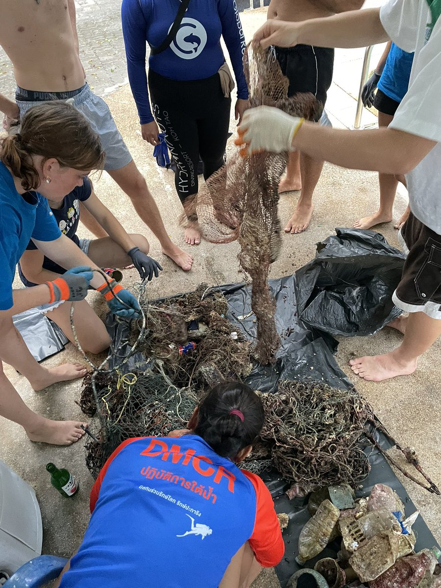 Scarlett Taylor 🦈 tweet media