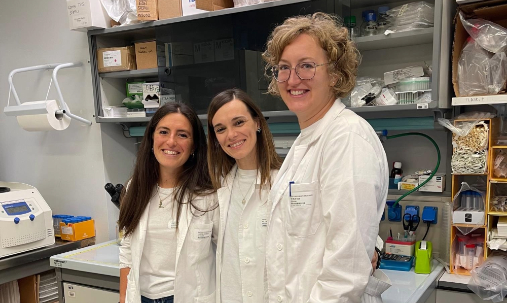 Centro di Riferimento Oncologico (@croaviano) on Twitter photo 🔬 Al 64° Congresso SIC i ricercatori dell’Oncologia molecolare hanno presentato 5 poster e partecipato a 2 presentazioni orali. Lucrezia Camicia ha vinto una borsa di studio di <a href="/pezcoller/">Fondazione Pezcoller</a> per un progetto sul ruolo dell’angiogenesi nella chemio-immunoterapia. Congratulazioni! 🔬 Al 64° Congresso SIC i ricercatori dell’Oncologia molecolare hanno presentato 5 poster e partecipato a 2 presentazioni orali. Lucrezia Camicia ha vinto una borsa di studio di <a href="/pezcoller/">Fondazione Pezcoller</a> per un progetto sul ruolo dell’angiogenesi nella chemio-immunoterapia. Congratulazioni!